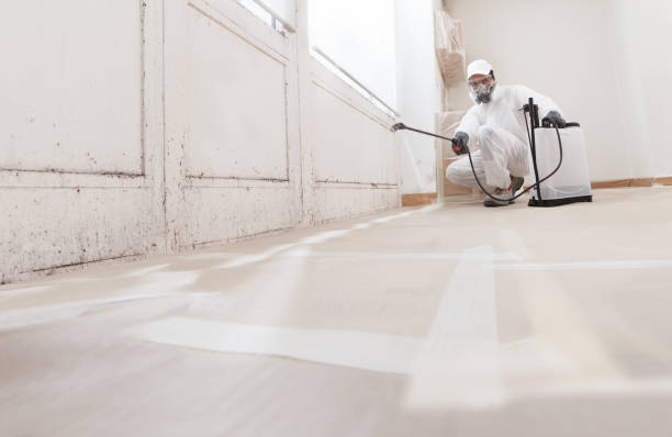 24/7 Emergency Commercial Mold Remediation experts in Arlington, WA