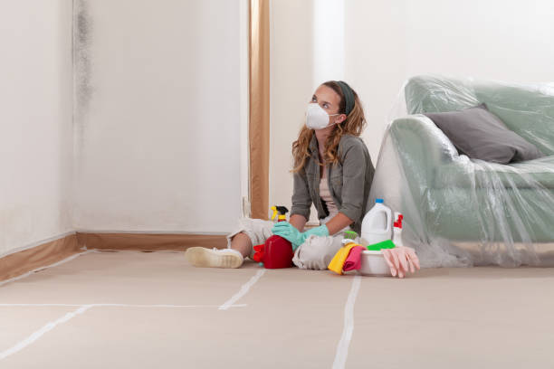 Reliable Commercial Mold Remediation contractor in Arlington, WA by Car Mold Remediation