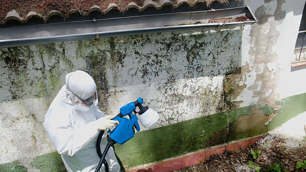 Top rated local Commercial Mold Remediation specialists in Arlington, WA